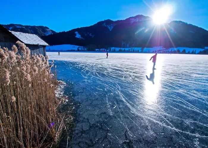 Hotel Seehotel Enzian