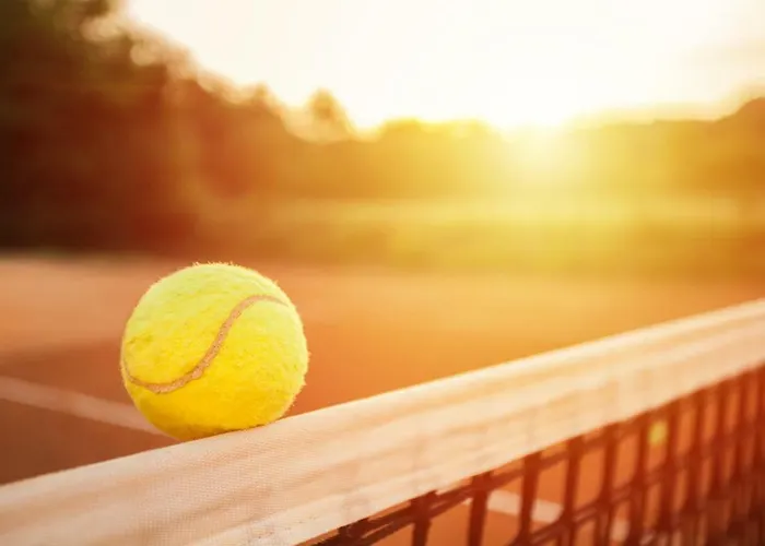 Seehotel Enzian 4* 바이센제